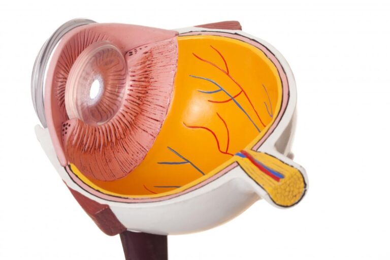 Permanent Central Serous Retinopathy Cure and 4 Home Remedies